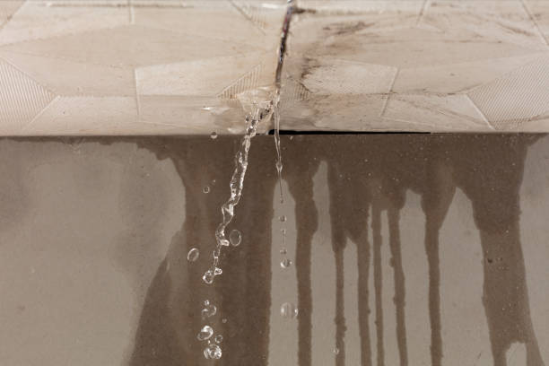 Professional Flood Damage Cleanup technician working in Portage Des Sioux, MO